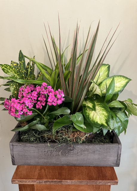 Cut orchid arrangement