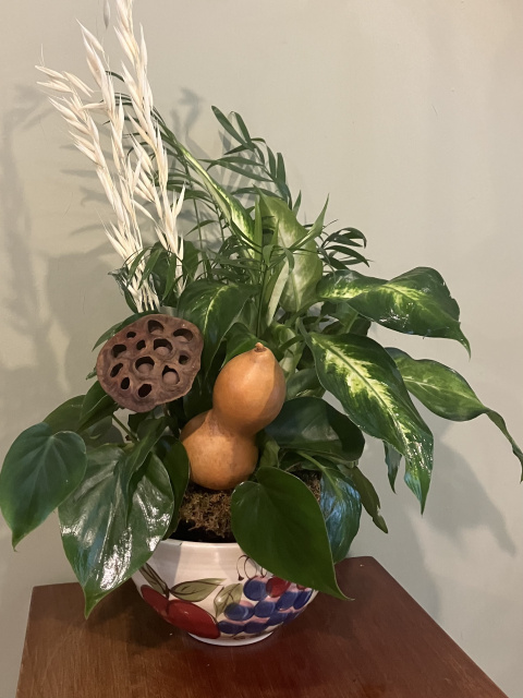 butterfly Garden