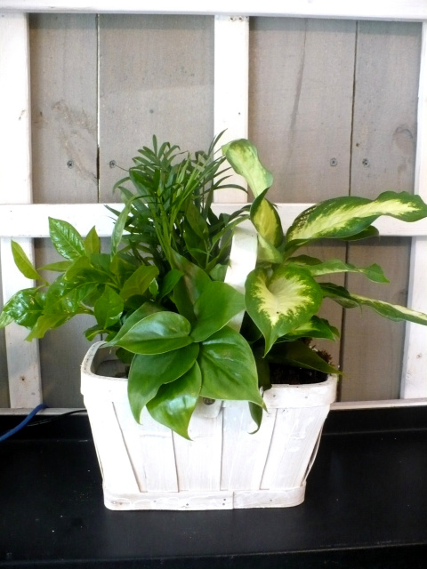 Grande Foliage Basket