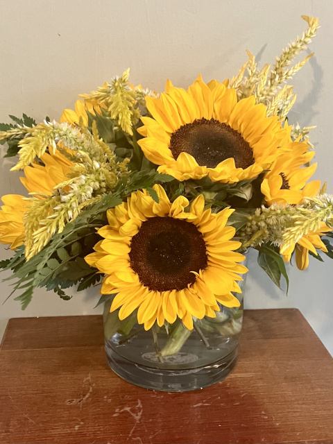 Nature sunflowers