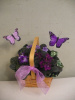 Butterfly Violet Basket