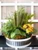 Humming bird Plant Basket