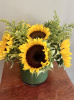 Nature sunflowers